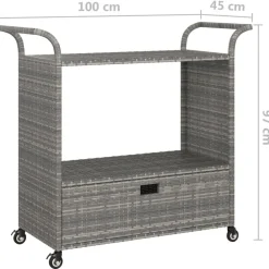 vidaXL Carrito de bar con cajón ratán sintético 100x45x97 cm Gris Online