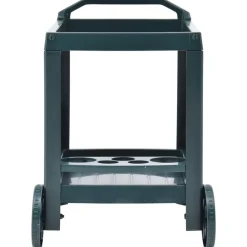 vidaXL Carrito de bebidas plástico 69x53x72 cm Verde Outlet