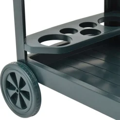 vidaXL Carrito de bebidas plástico 69x53x72 cm Verde Outlet