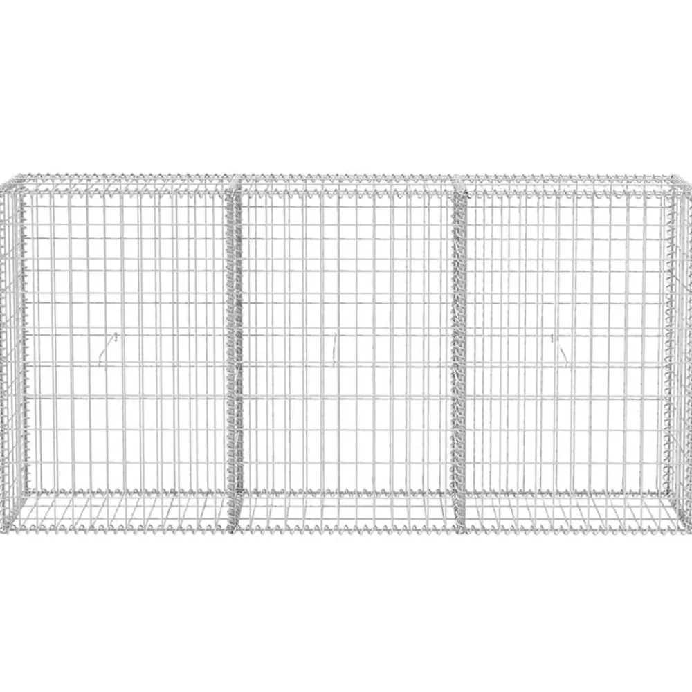 vidaXL Vallas De Jardín-Cesta de muro de gaviones acero galvanizado 200x30x100 cm
