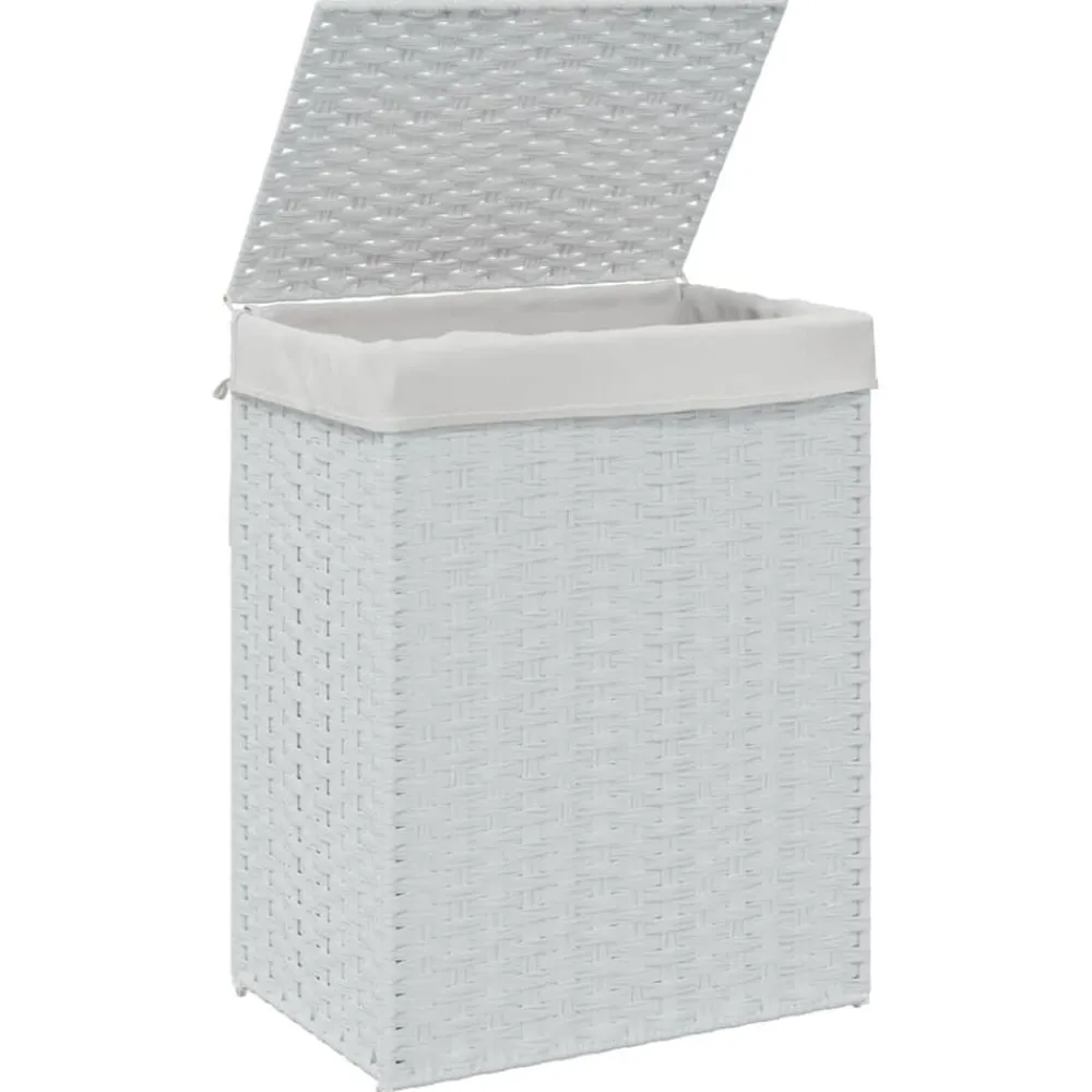 vidaXL Productos Del Hogar-Cesto de ropa sucia con tapa ratán sintético 46x33x60 cm