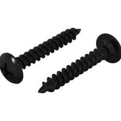 vidaXL Accesorios De Bricolaje-Clavo autorroscante 2 pcs Negro 4 x 25 mm Acero