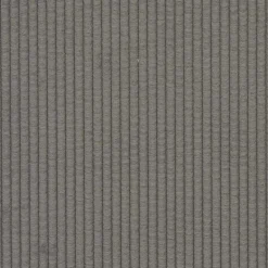 vidaXL Cojines de sofá 2 pcs 50 x 30 cm Tela de pana Gris claro New