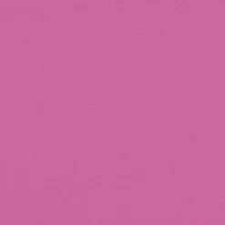 vidaXL Cojines para silla con respaldo bajo 2 uds tela Oxford Rosa New