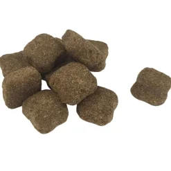 vidaXL Productos Para Mascotas-Comida seca perros Maxi Adult Essence Beef&Chicken 2 uds 30 kg