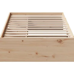 vidaXL Camas Y Accesorios-Diván sin colchón 100x200 cm madera maciza de pino