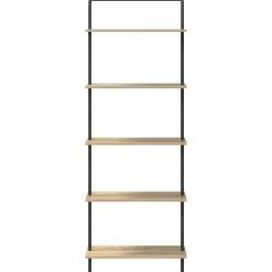 vidaXL Estanterías-Estante de libros 60 x 24 x 168 cm