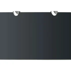 vidaXL Estante flotante de cristal 30x20 cm 8 mm Negro