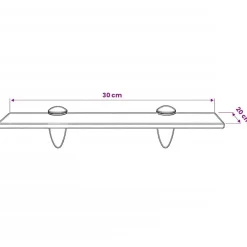 vidaXL Estante flotante de cristal 30x20 cm 8 mm Negro