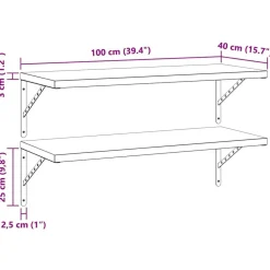 vidaXL Estantes de pared 2 uds acero inoxidable 100x40 cm Plateado Online