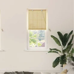 vidaXL Estor enrollable con cortinas eza 60 x 160 cm Bambú Natural Best