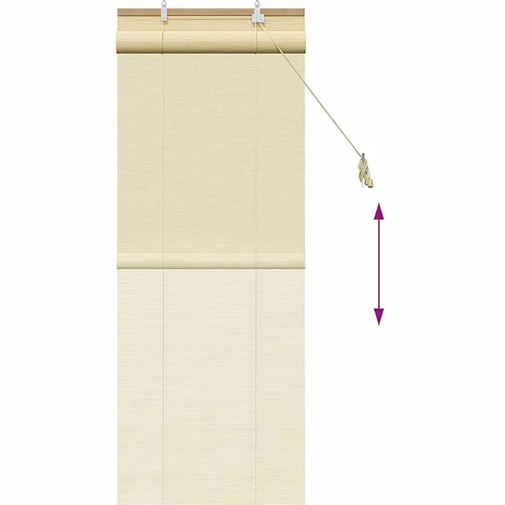 vidaXL Estor enrollable con cortinas eza 60 x 160 cm Bambú Natural Best