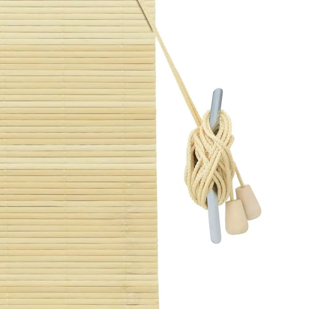 vidaXL Estor enrollable con cortinas eza 60 x 160 cm Bambú Natural Best