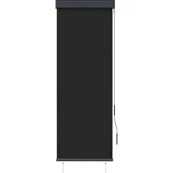 vidaXL Estor enrollable de exterior gris 60x250 cm Antracita Online