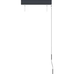vidaXL Estor enrollable de exterior gris 60x250 cm Antracita Online