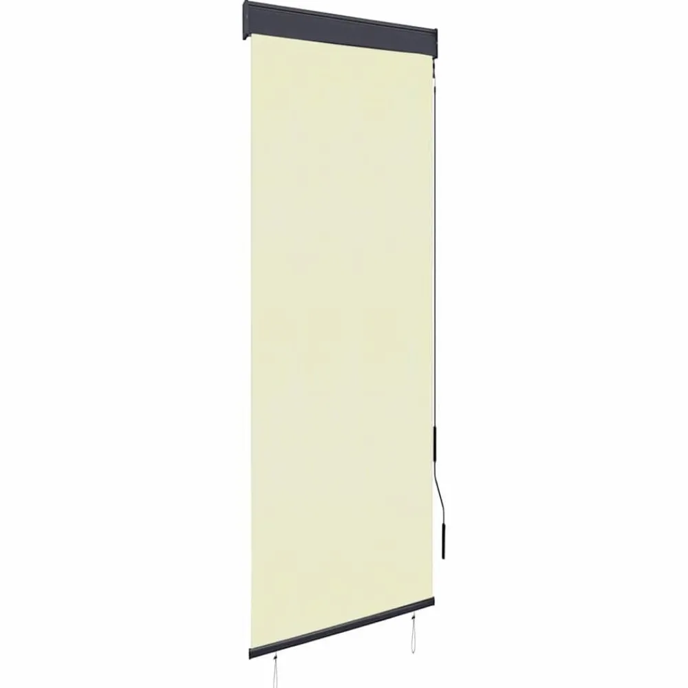 vidaXL Decoración-Estor enrollable de exterior color 60x250 cm