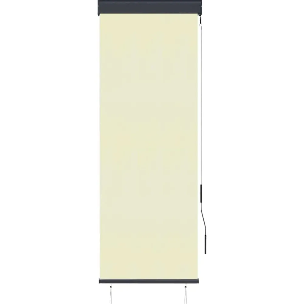 vidaXL Decoración-Estor enrollable de exterior color 60x250 cm
