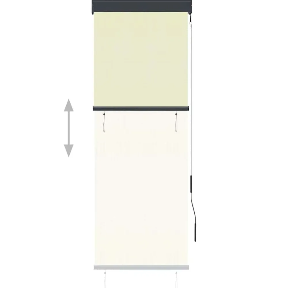 vidaXL Decoración-Estor enrollable de exterior color 60x250 cm