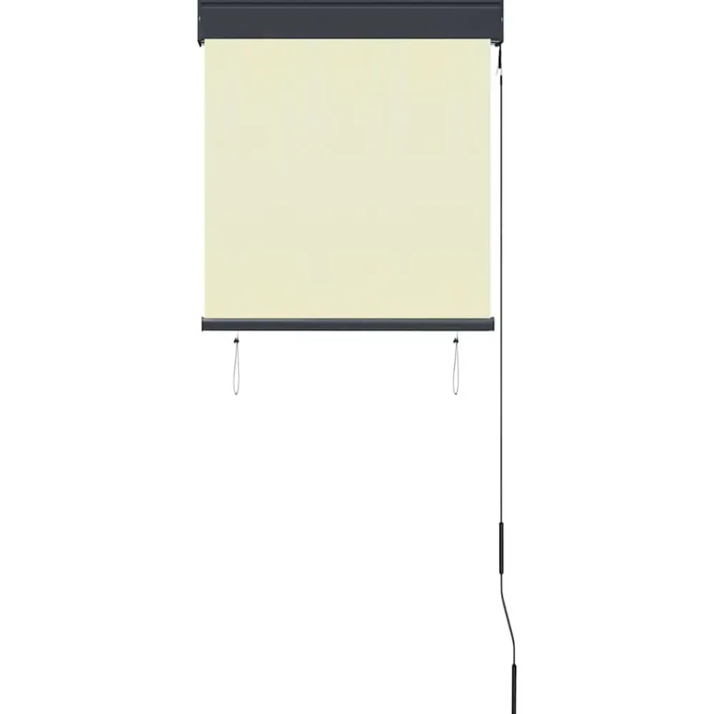 vidaXL Decoración-Estor enrollable de exterior color 60x250 cm