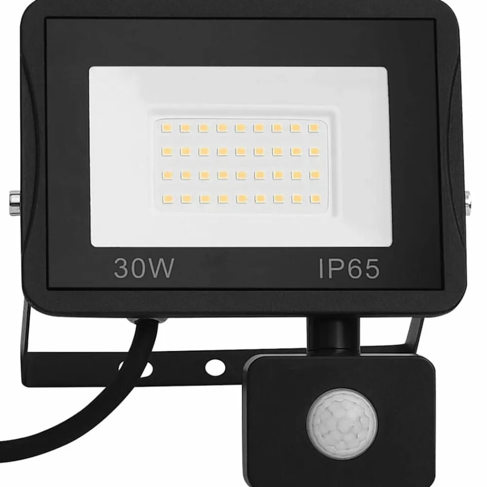 vidaXL Foco LED con sensor 30 W blanco cálido Blanco cálido New