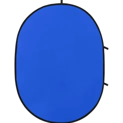 vidaXL Cámaras Y Objetivos-Fondo estudio fotografía ovalado 2 en 1 verde y azul 200x150 cm