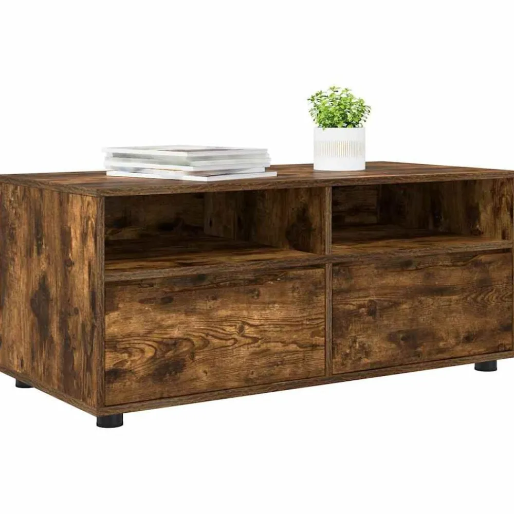 vidaXL Muebles Tv-Gabinete de TV con cajón 100 x 48 x 43 cm