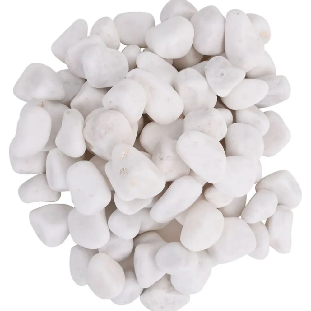 vidaXL Productos Para Mascotas-Guijarros pulidos s 10 kg 2-5 cm