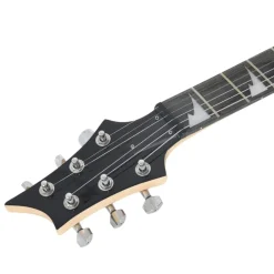 vidaXL Arte Y Ocio-Guitarra eléctrica principiantes con funda marrón negro 4/4 39