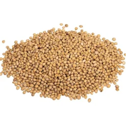 vidaXL Huesos de cereza para cojín térmico 10 kg