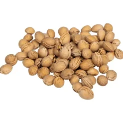 vidaXL Huesos de cereza para cojín térmico 10 kg