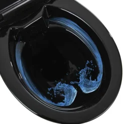vidaXL Fontanería-Inodoro sin bordes cierre suave 7 cm altura extra cerámica negra