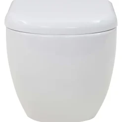 vidaXL Inodoro suspendido de pared con cisterna oculta cerámica Blanco Outlet