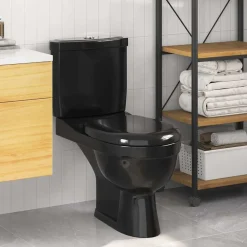 vidaXL Inodoro WC con cisterna Negro Best
