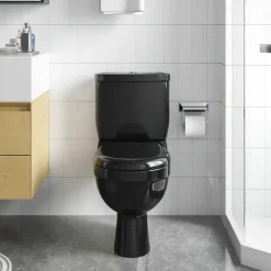 vidaXL Inodoro WC con cisterna Negro Best
