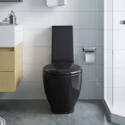 vidaXL Inodoro WC redondo de cerámica con cisterna Negro Online