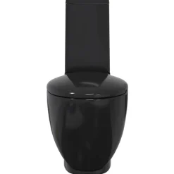 vidaXL Inodoro WC redondo de cerámica con cisterna Negro Online