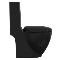 vidaXL Inodoro WC redondo de cerámica con cisterna Negro Online