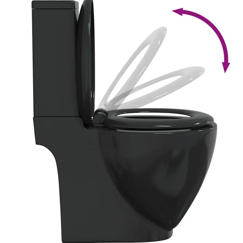 vidaXL Inodoro WC redondo de cerámica con cisterna Negro Online
