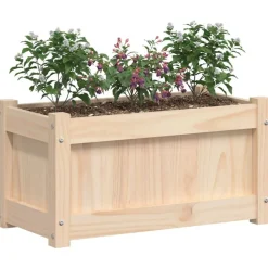 vidaXL Jardín-Jardinera de madera maciza de pino 60x31x31 cm