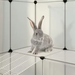 vidaXL Productos Para Mascotas-Jaula de animales pequeños PP y acero 142x74x93 cm