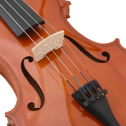 vidaXL Juego completo de violín con arco y barbada madera oscura 4/4 Marr&oacute;n Online