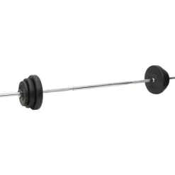 vidaXL Juego de barras y mancuernas con discos 90 kg Discount