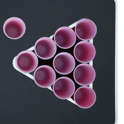 vidaXL Arte Y Ocio-Juego de Beer Pong plástico 0,5 L