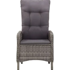 vidaXL Juego de bistró para jardín 3 piezas ratán sintético Gris New
