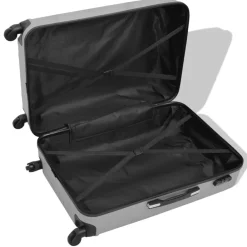 vidaXL Maletas Y Bolsos De Viaje-Juego de maletas rígidas cuatro unidades plata