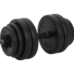 vidaXL Juego de mancuernas 2x15 kg Sale