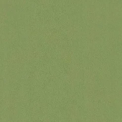 vidaXL Juego de Sofá 2 pcs 228 x 78 x 80 cm Terciopelo Verde claro New