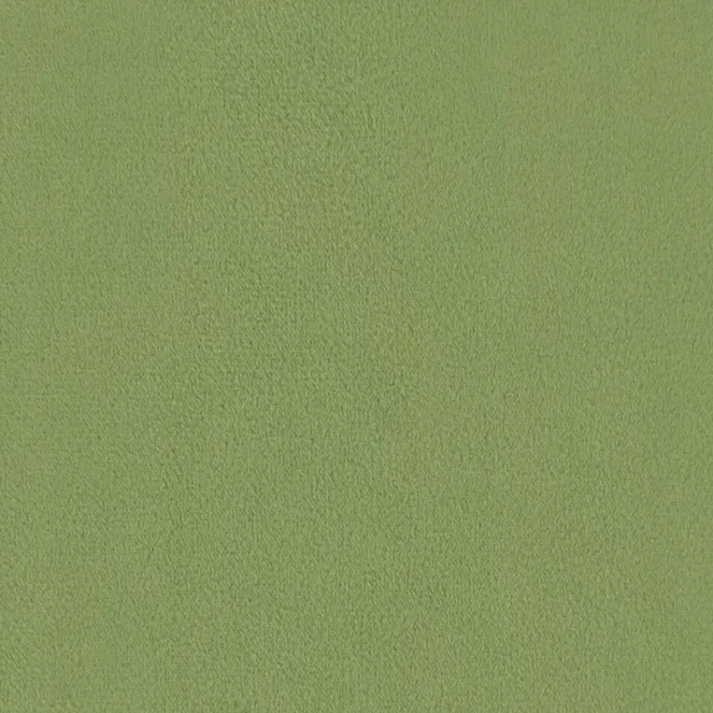 vidaXL Juego de Sofá 2 pcs 228 x 78 x 80 cm Terciopelo Verde claro New