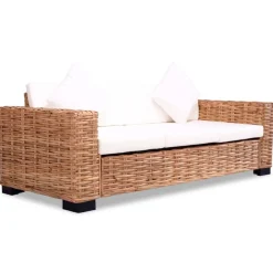 vidaXL Juego de sofás con cojines 2 piezas ratán natural Hot