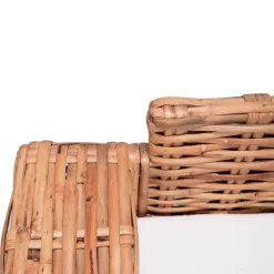 vidaXL Juego de sofás con cojines 2 piezas ratán natural Hot
